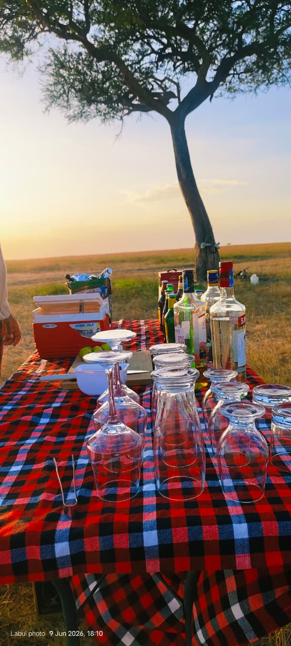 Amazing wildlife sighting on Kenya safari